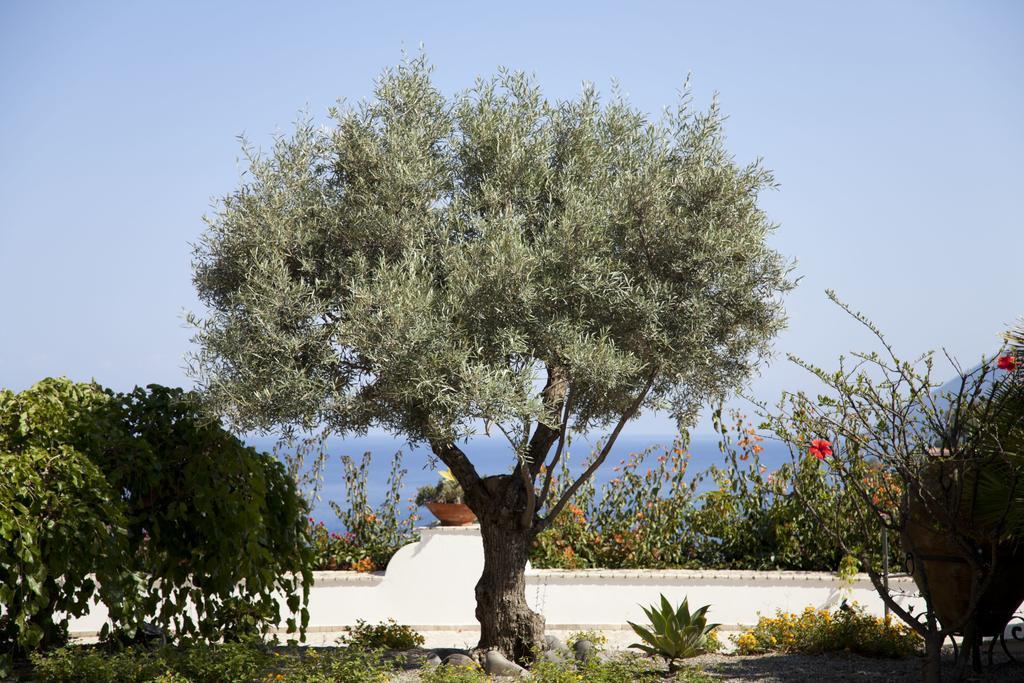 ליפארי Hotel Villa Enrica - Aeolian Charme מראה חיצוני תמונה